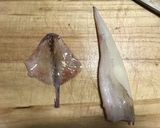 こだわりイカ握り作り方5写真