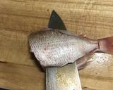 こだわり真鯛作り方7写真