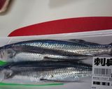 飛び魚の刺身作り方1写真