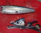 飛び魚の刺身作り方2写真