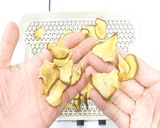 食品乾燥機ドラミニでラフランスを乾燥作り方11写真