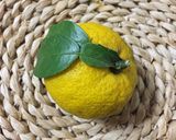 柚子味噌作り方1写真