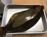 こだわり平目作り方1写真