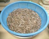 いかなごのくぎ煮作り方1写真