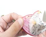 食品乾燥機でドラゴンフルーツの乾燥作り方4写真