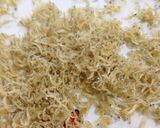 みょうがたけの炊き込みご飯作り方4写真
