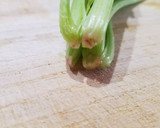 ほうれん草ともやしのおひたし作り方1写真