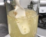 ジンジャーバグ しょうが 酵母作り方5写真