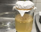 ジンジャーバグ しょうが 酵母作り方6写真