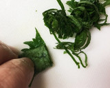 長茄子と茗荷の大人の夏酢の物作り方7写真