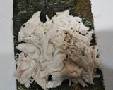 ささ身の海苔巻き作り方5写真