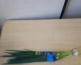 ネギの新鮮な保存作り方1写真