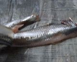 簡単♪手開き♪　いわしのお刺身作り方6写真
