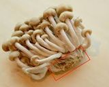 鶏とキノコの醤油バター炊き込みご飯作り方12写真