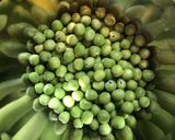 豆ご飯♡作り方2写真