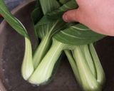 めんつゆで簡単☆ちんげん菜のお浸し作り方2写真