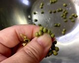 山椒の実の下ごしらえ作り方7写真