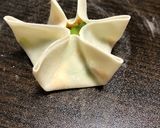 豆腐とキャベツの韓国風蒸し餃子作り方11写真