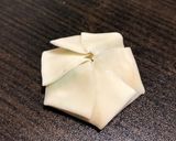 豆腐とキャベツの韓国風蒸し餃子作り方14写真