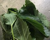 桑の葉肉煮込み作り方1写真