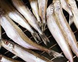 ししゃもの刻み昆布酢漬け作り方1写真