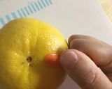 くるっと一周！グレープフルーツ簡単皮むき作り方7写真