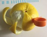 くるっと一周！グレープフルーツ簡単皮むき作り方9写真