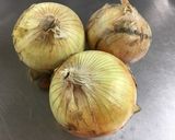淡路玉ねぎのスライス作り方1写真