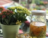 美容におススメ！　キウイフルーツ酢作り方11写真