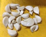 生にんにくとにんにくの芽の炒め物作り方2写真