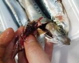 鰯のおろし方作り方3写真