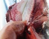 鰯のおろし方作り方5写真