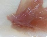 鰯のおろし方作り方9写真