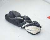 モノクロ☆マーブル食パン作り方6写真