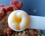 初めて作る☆白菜の餃子☆上手く焼けるかな作り方10写真