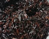 具材たっぷりなひじきの煮物作り方1写真