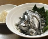 新鮮なカタクチイワシでお刺身♪作り方10写真