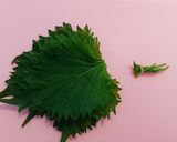 簡単＊梅しそチーズとんかつ♪作り方1写真