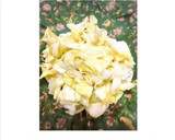 ✿ささみの梅和え＊ぶっかけ冷やしうどん✿作り方13写真