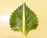 大葉豚ロース薄切り肉巻き★チーズのせ焼き作り方1写真