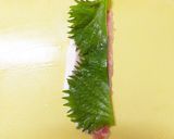 大葉豚ロース薄切り肉巻き★チーズのせ焼き作り方3写真