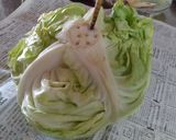 キャベツは箸で長持ち保存(｡ •ᴗ•。)作り方1写真