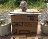 3日で出来る簡単手作りベーコン作り方10写真