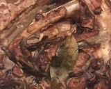 ブラジル料理٩( ᐛ )وフィジョアーダ作り方5写真