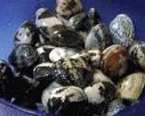 浅蜊と舞茸のクリームコロッケ作り方1写真