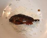 【有資格者向け】毒魚ハオコゼのから揚げ作り方6写真