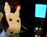 ミューズリーのカントリーマフィン作り方10写真