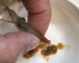 髪サラサラ♡しっとり♡エビ味噌ピラフ作り方2写真
