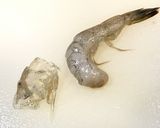 髪サラサラ♡しっとり♡エビ味噌ピラフ作り方3写真