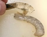 髪サラサラ♡しっとり♡エビ味噌ピラフ作り方5写真